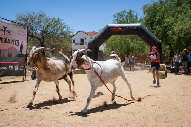 Aventura Don Diablo Trail Series